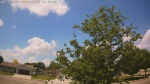 Web Cam Image - Fri, 06/05/2026 11:53am CDT