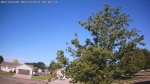 Web Cam Image - Fri, 06/12/2026 7:50am CDT
