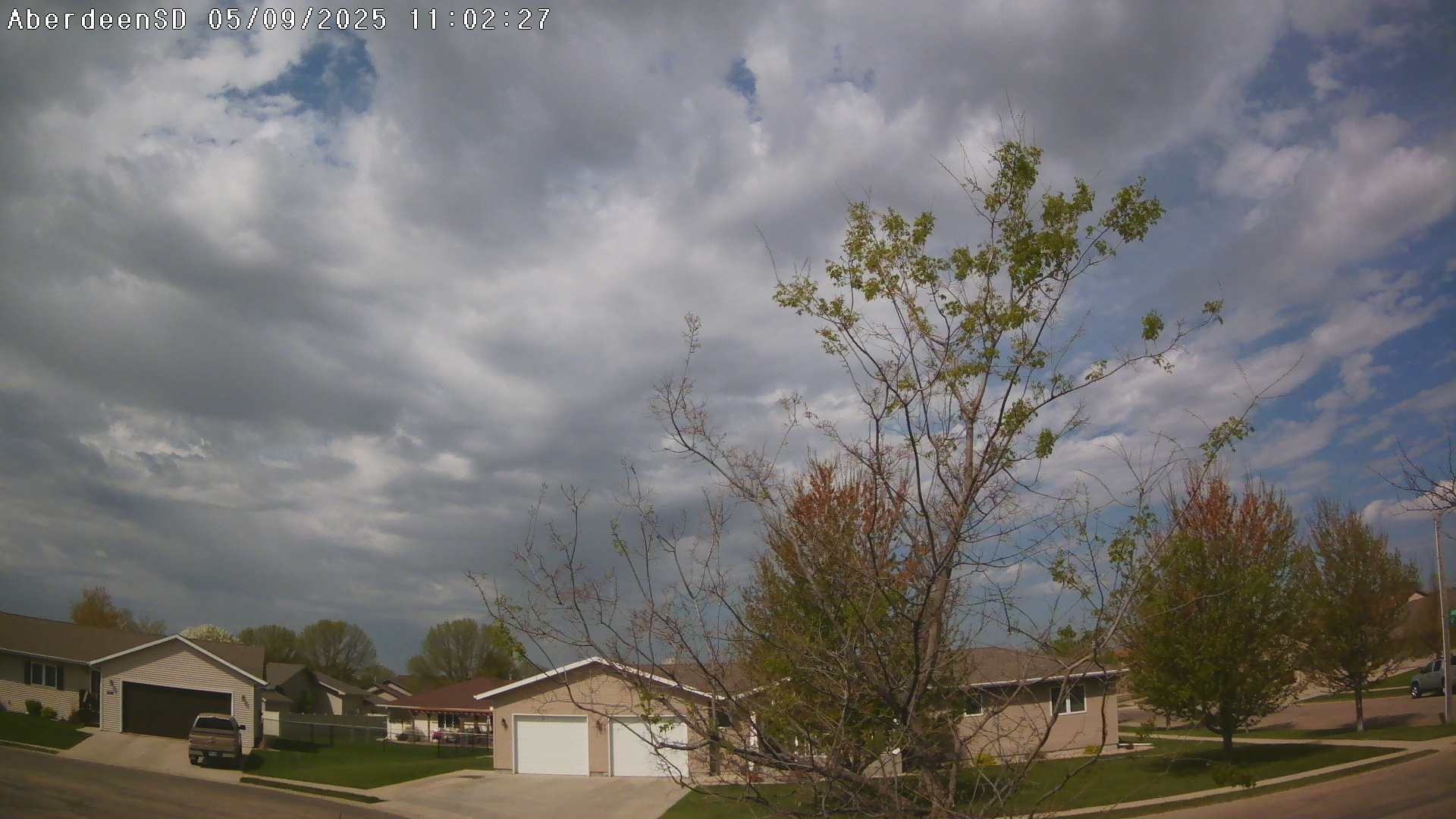 Web Cam History Image - 301