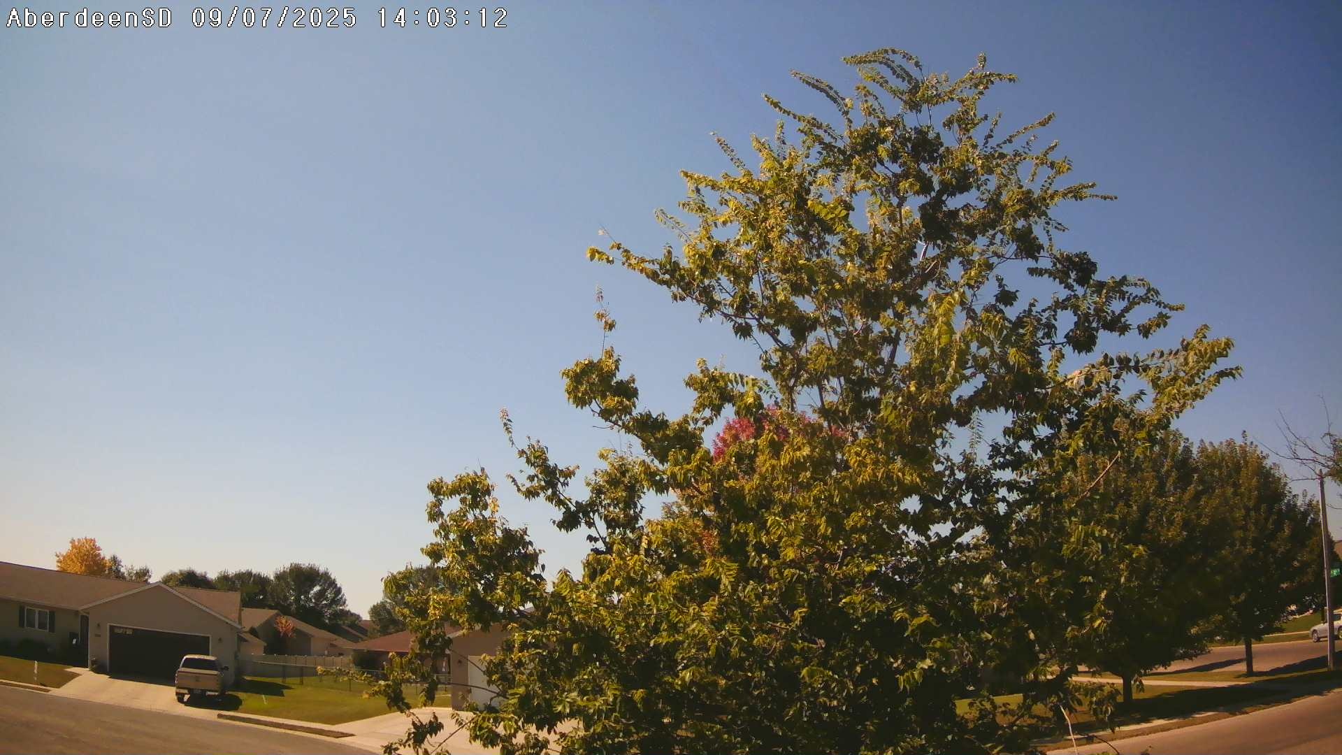 Web Cam History Image - 301