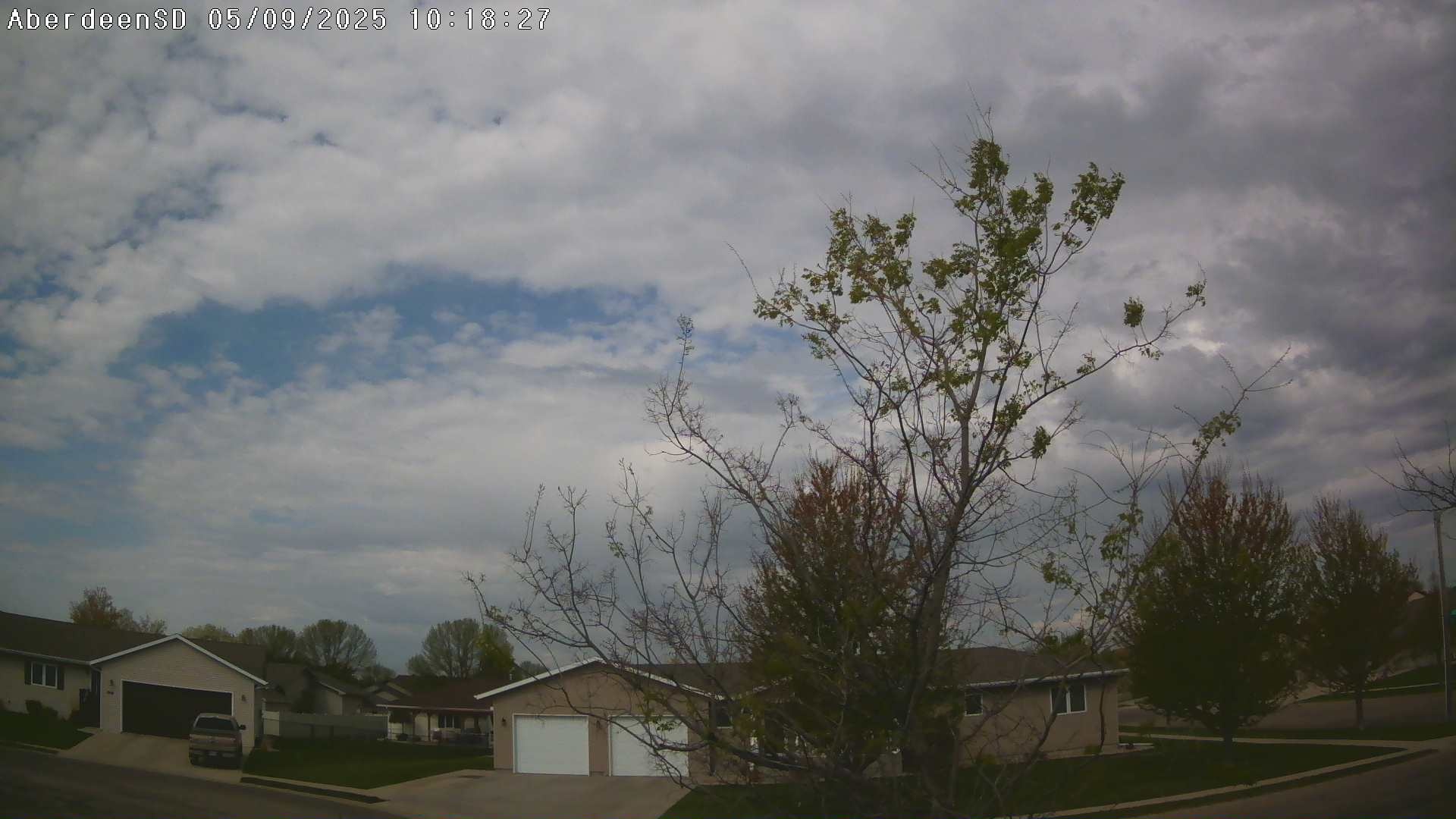 Web Cam History Image - 303