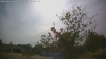 Web Cam Image - Thu, 05/21/2026 4:37pm CDT