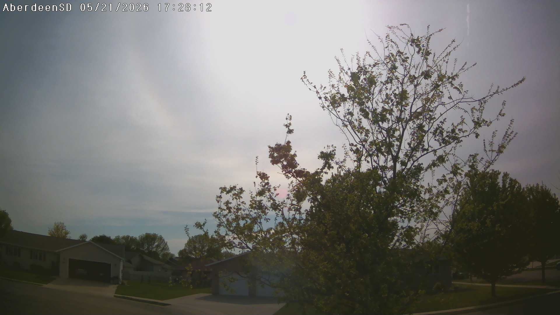 Web Cam History Image - 304