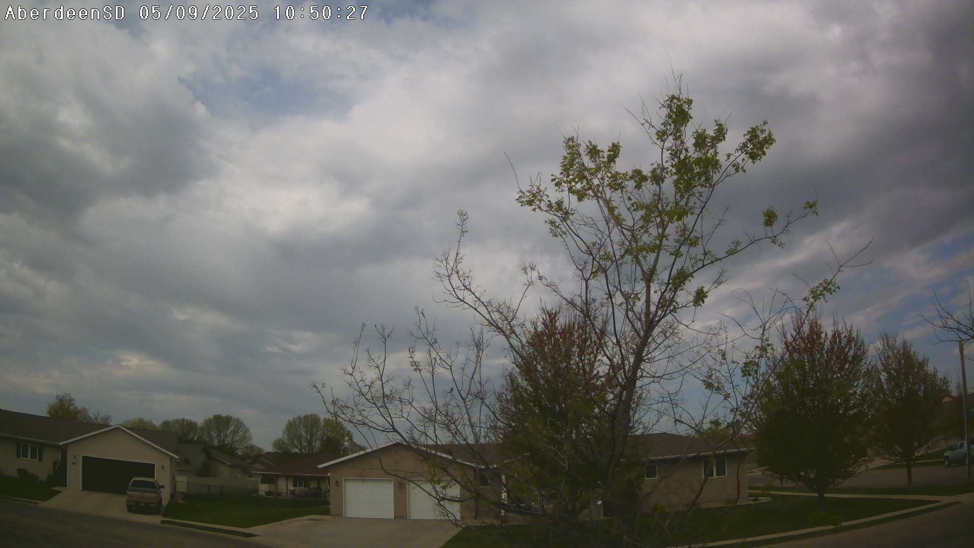 Web Cam History Image - 305