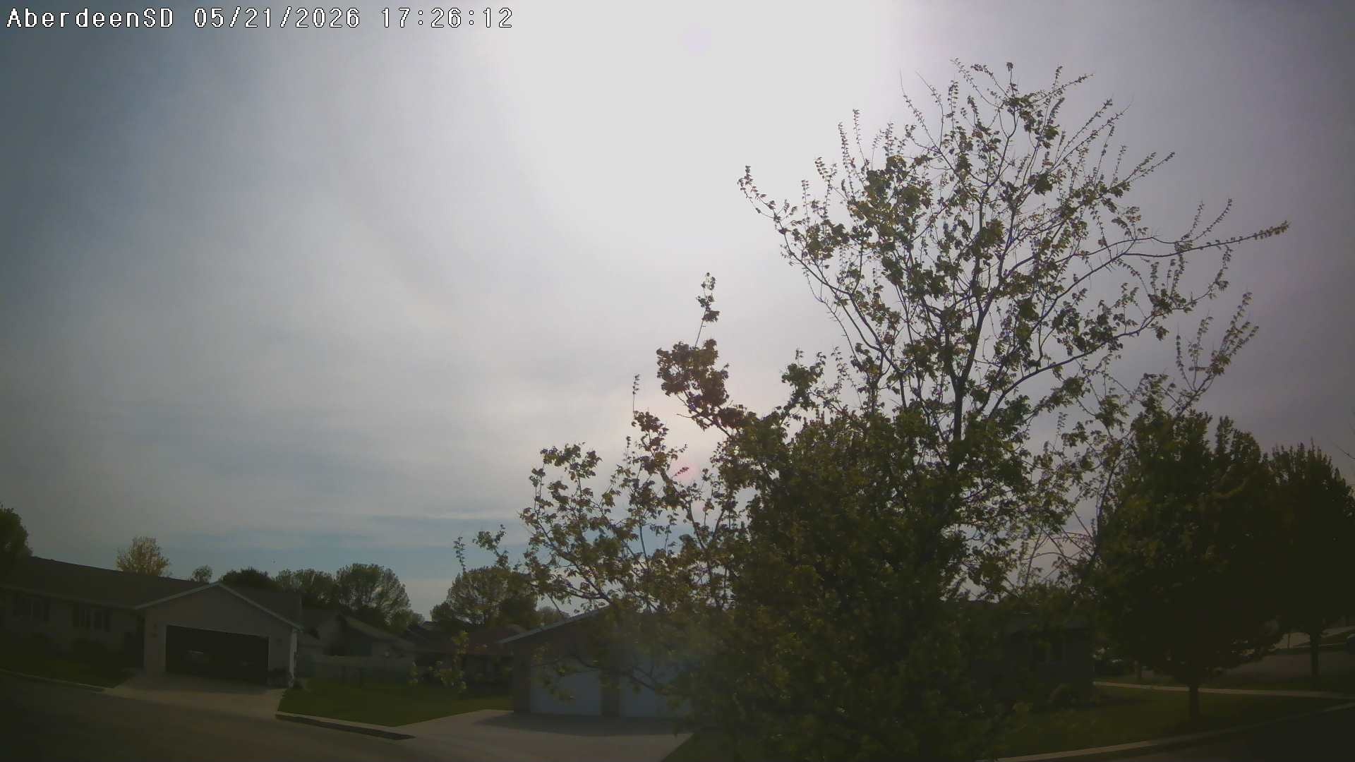 Web Cam History Image - 306