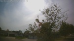 Web Cam Image - Thu, 05/21/2026 4:31pm CDT