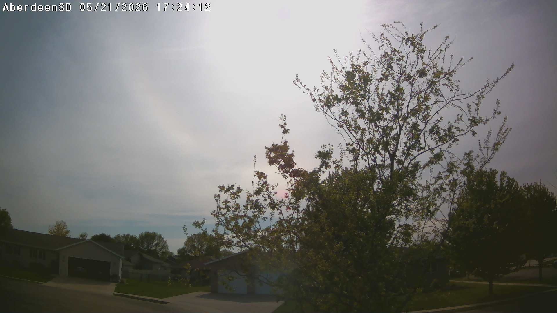 Web Cam History Image - 307