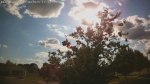 Web Cam Image - Mon, 06/30/2025 1:37pm CDT