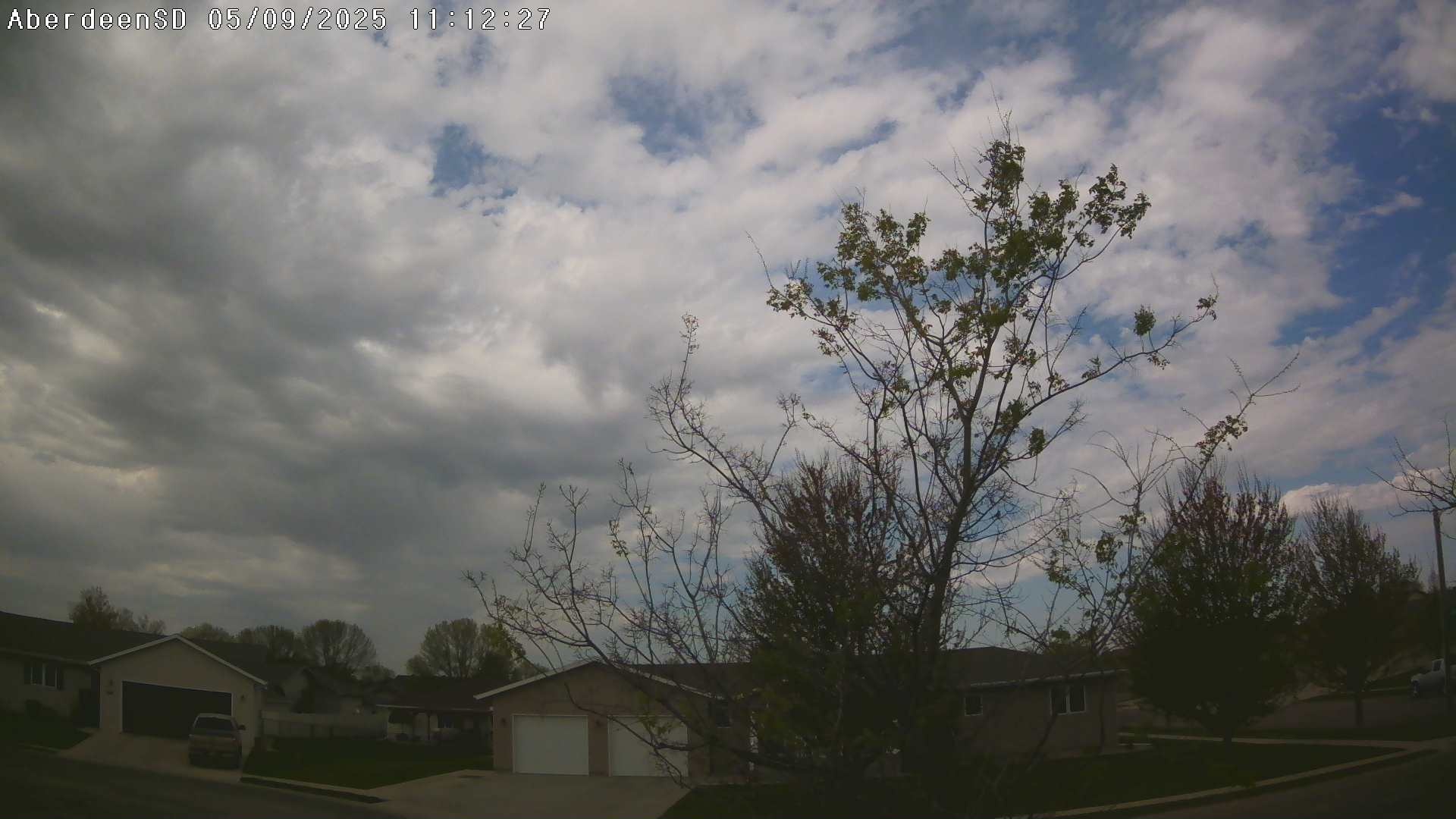 Web Cam History Image - 308