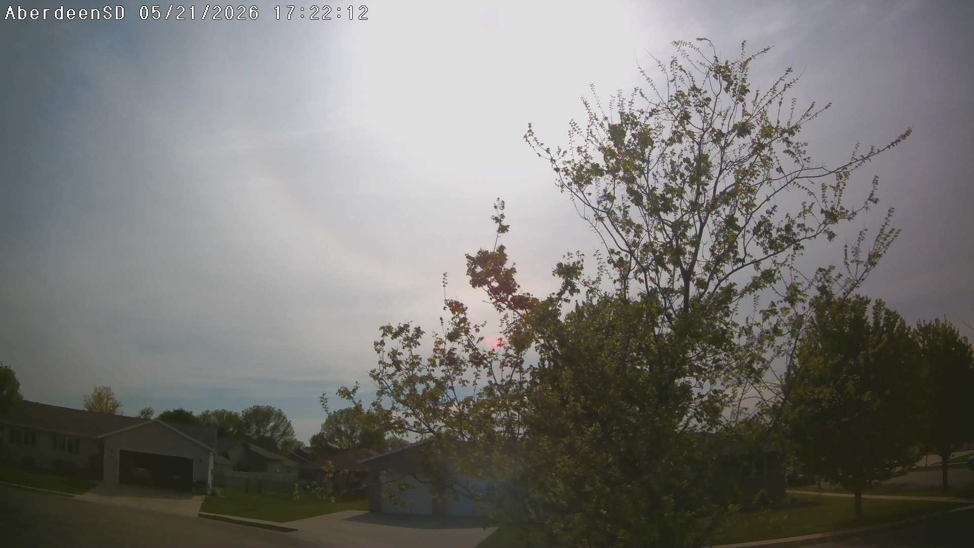 Web Cam History Image - 308