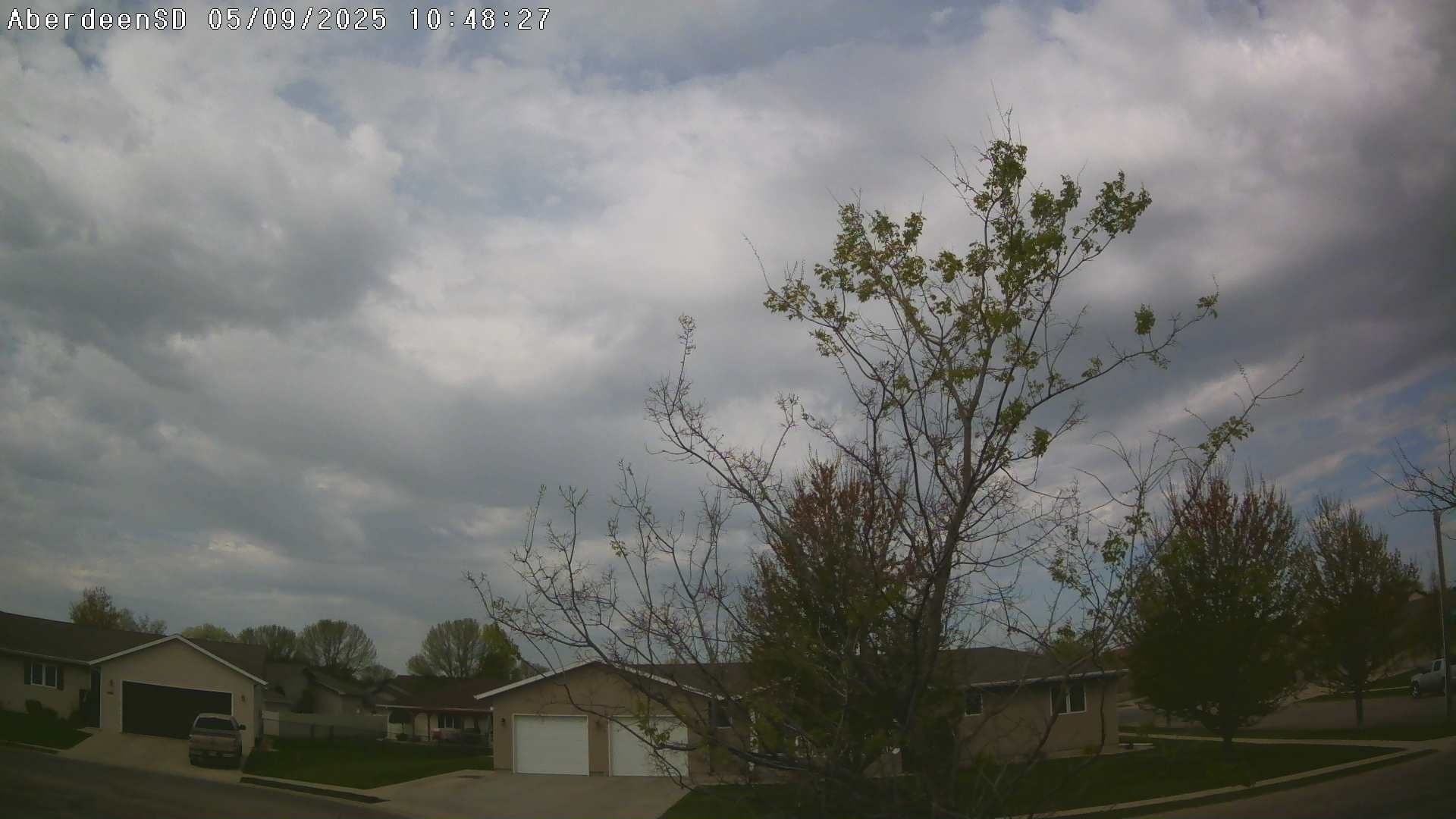 Web Cam History Image - 309