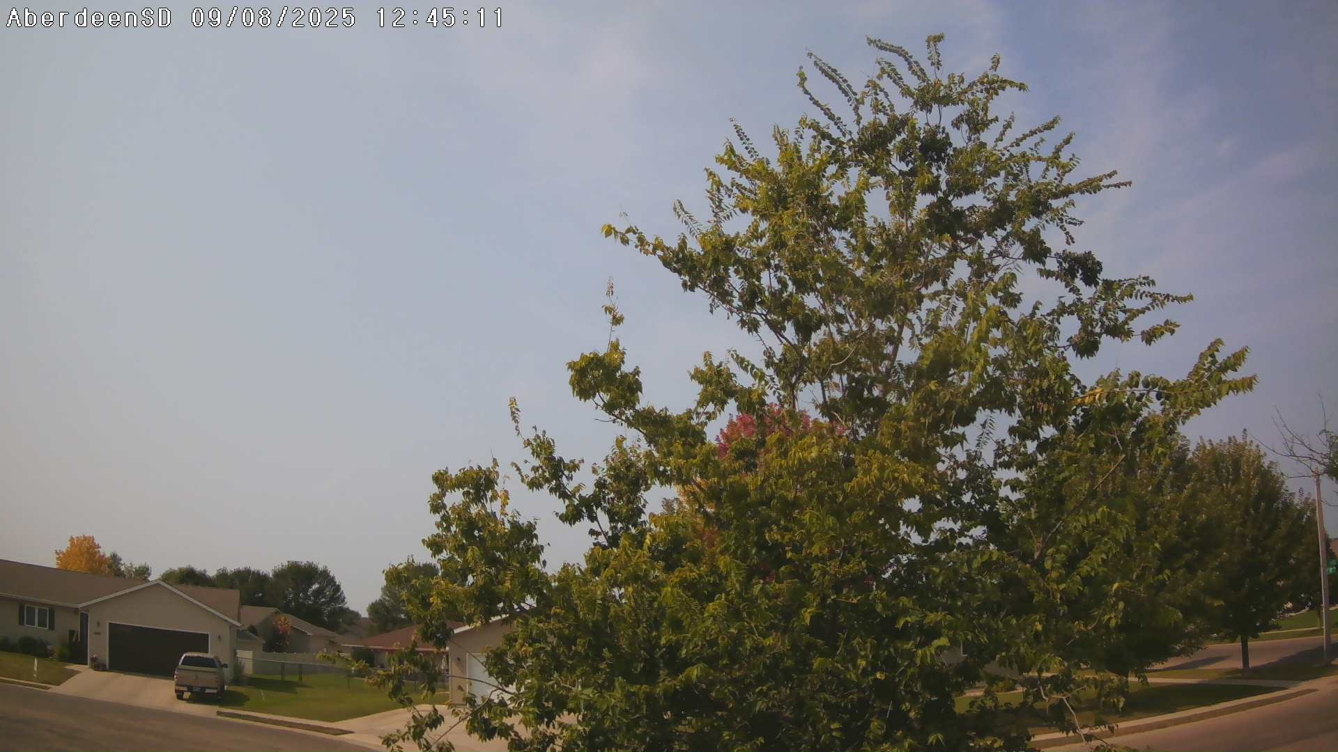 Web Cam History Image - 309
