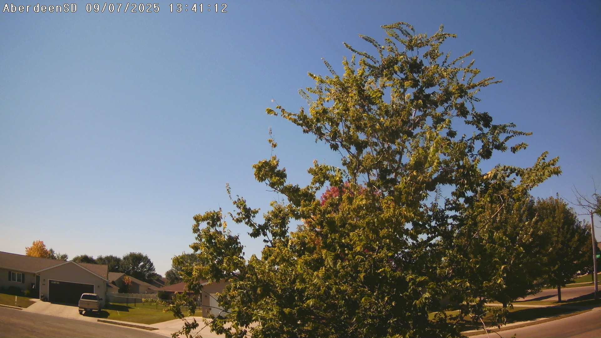 Web Cam History Image - 310