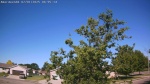 Web Cam Image - Tue, 07/01/2025 1:23am CDT