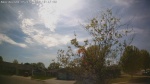 Web Cam Image - Sat, 05/16/2026 4:05pm CDT