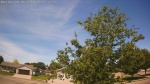 Web Cam Image - Wed, 06/03/2026 10:59am CDT