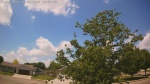 Web Cam Image - Fri, 06/05/2026 11:52am CDT