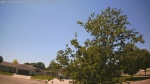 Web Cam Image - Sat, 06/06/2026 1:34pm CDT