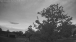 Web Cam Image - Mon, 06/08/2026 4:31am CDT
