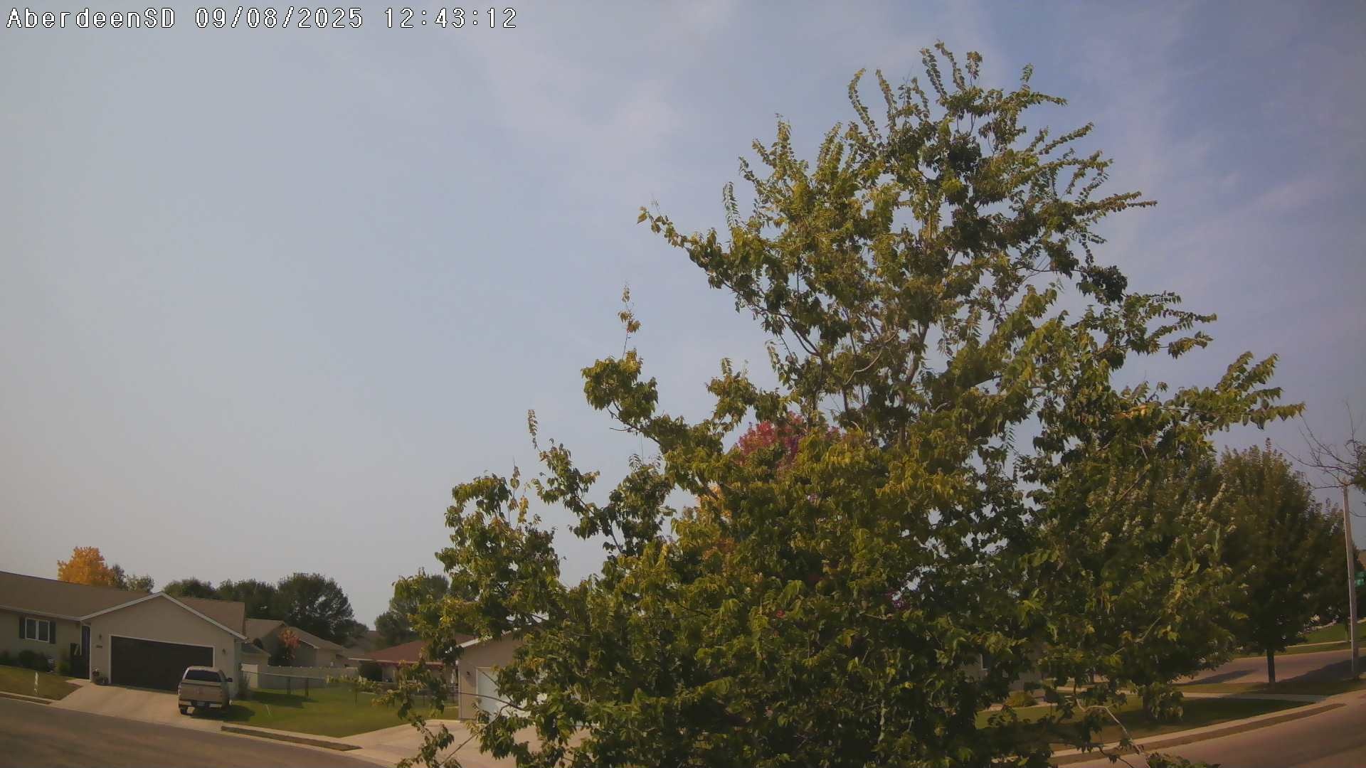 Web Cam History Image - 311