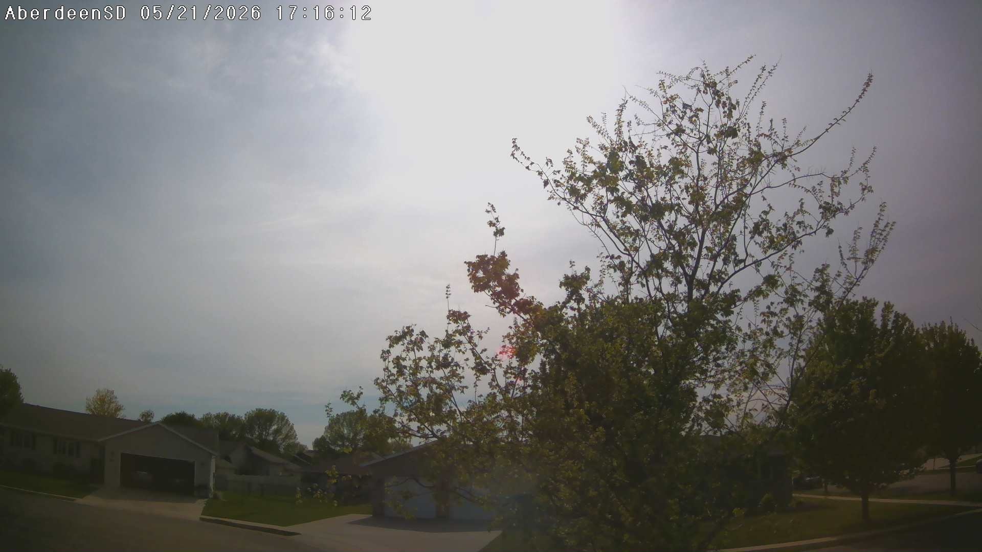 Web Cam History Image - 311