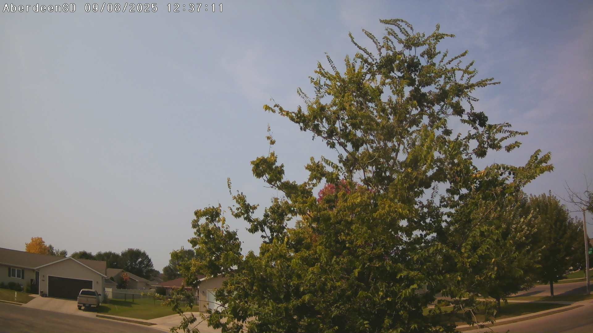 Web Cam History Image - 312