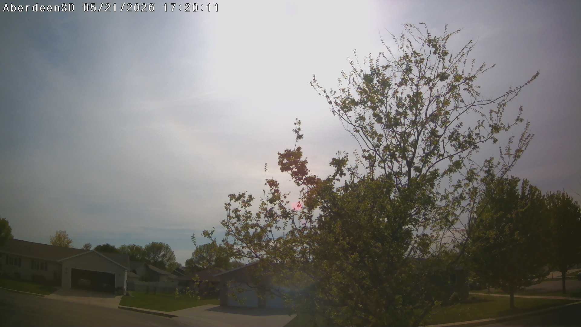 Web Cam History Image - 312