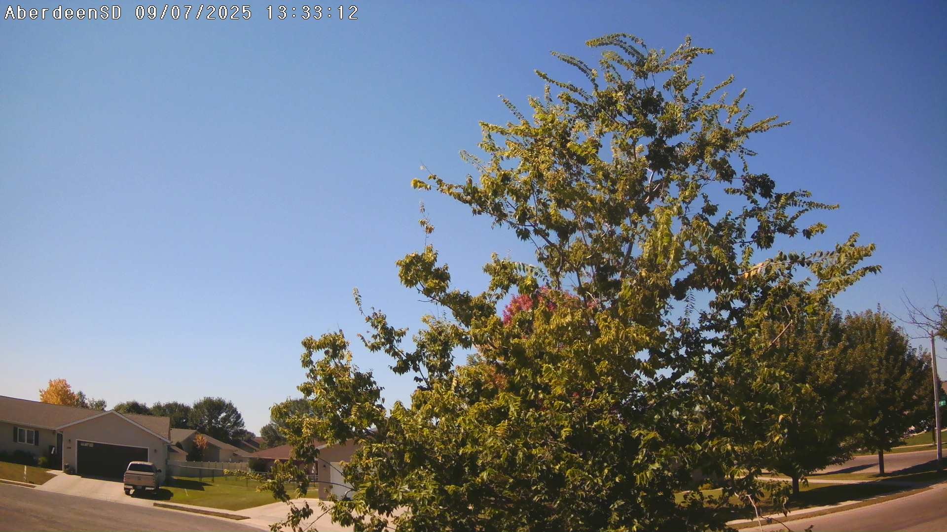 Web Cam History Image - 313