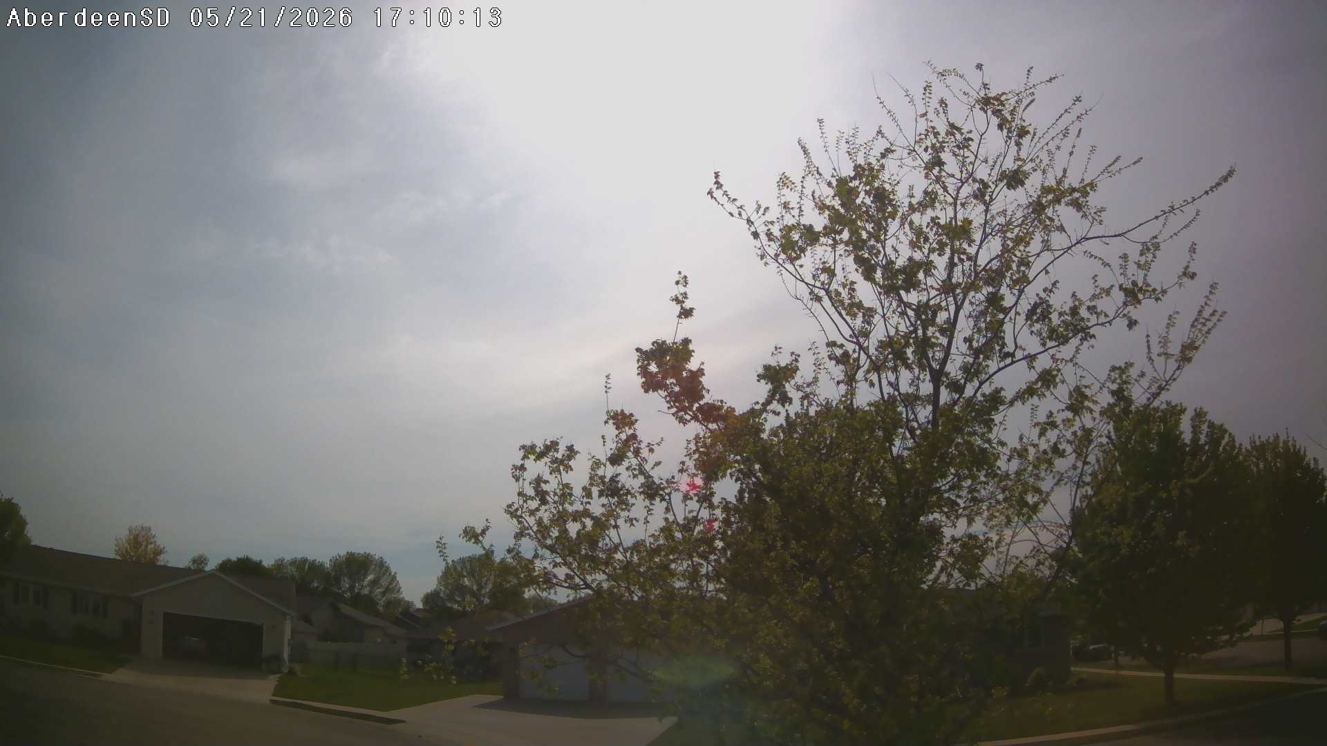 Web Cam History Image - 313