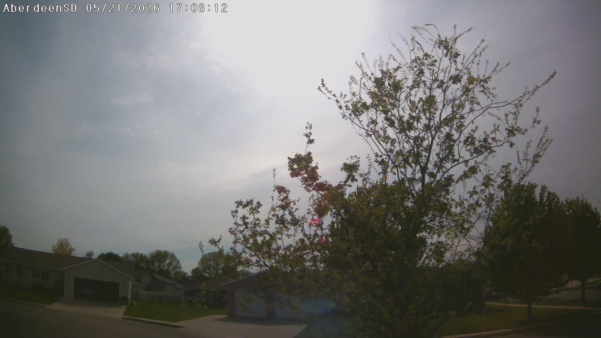 Web Cam History Image - 314