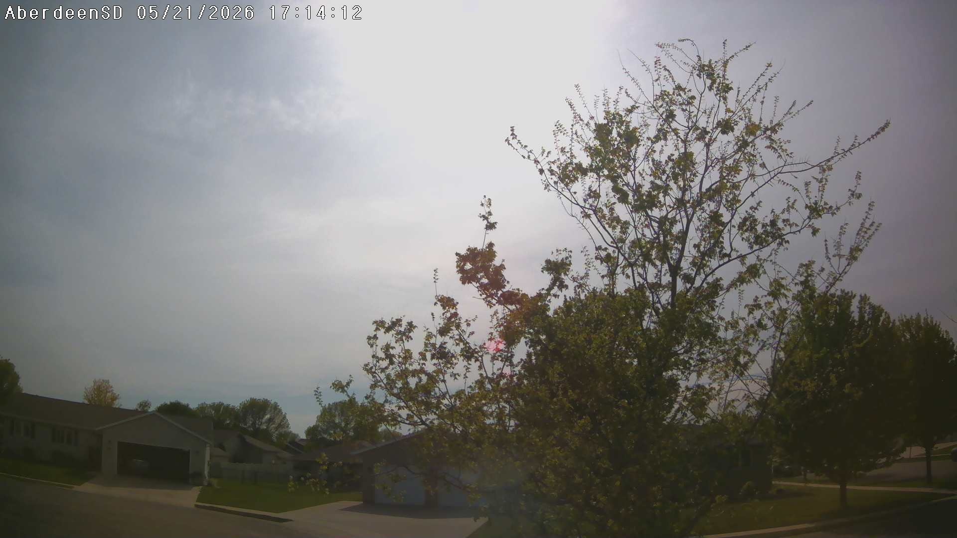 Web Cam History Image - 315