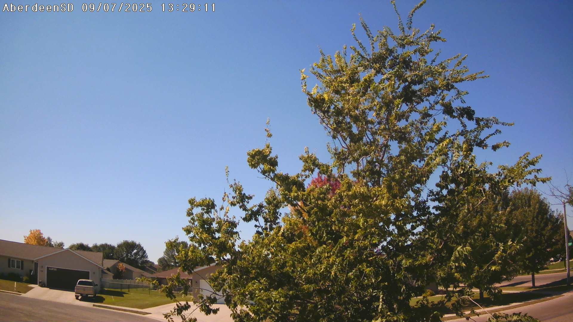 Web Cam History Image - 316