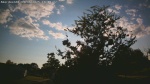 Web Cam Image - Sat, 09/06/2025 4:16pm CDT