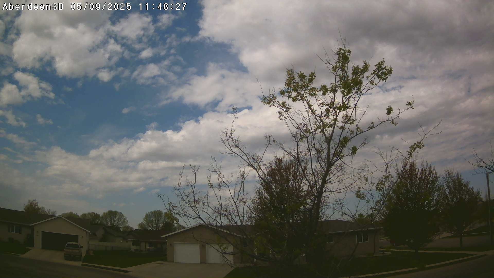 Web Cam History Image - 318