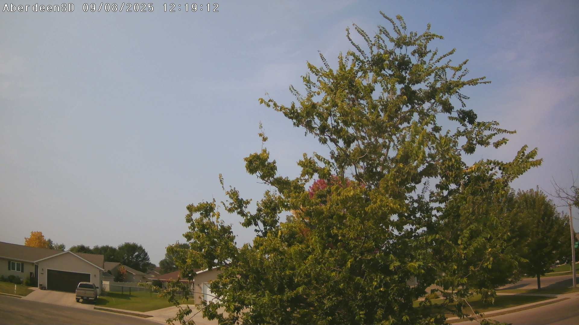 Web Cam History Image - 318