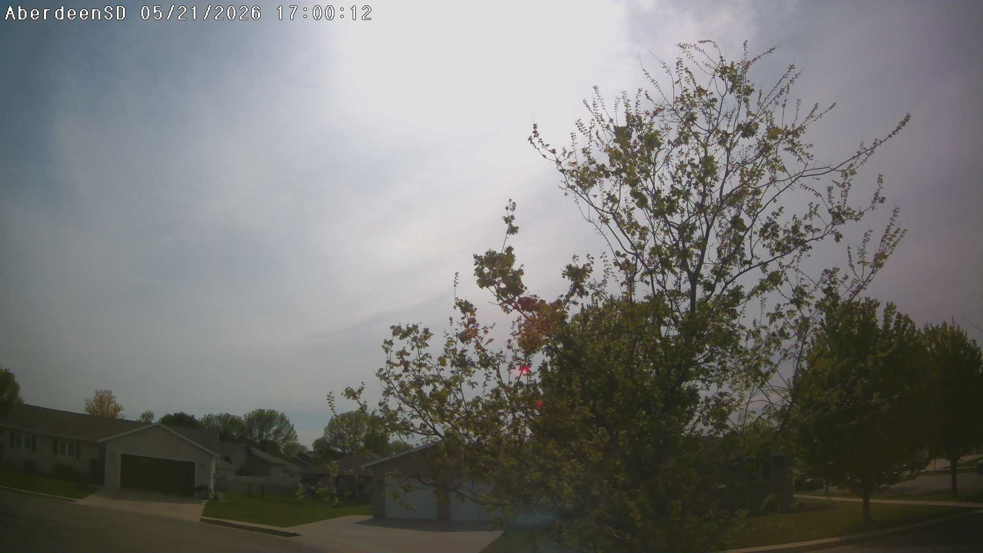 Web Cam History Image - 319