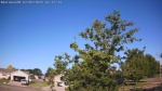 Web Cam Image - Tue, 07/01/2025 1:22am CDT