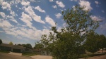 Web Cam Image - Tue, 05/26/2026 12:31pm CDT