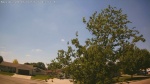 Web Cam Image - Tue, 06/02/2026 1:19pm CDT