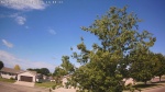 Web Cam Image - Sat, 06/13/2026 9:37am CDT