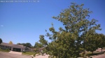 Web Cam Image - Sun, 06/14/2026 11:58am CDT
