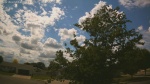 Web Cam Image - Mon, 06/22/2026 2:22pm CDT