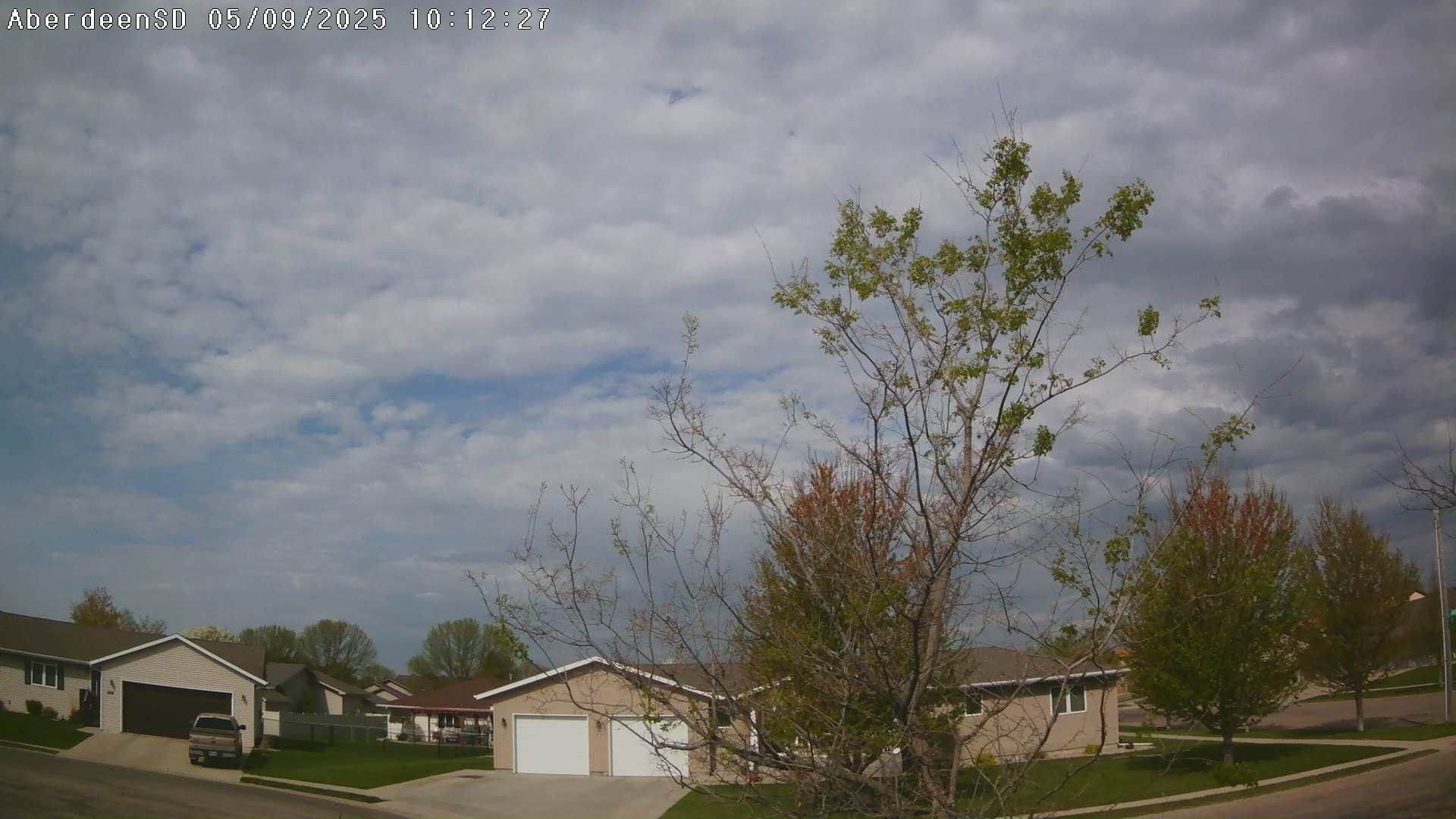 Web Cam History Image - 321