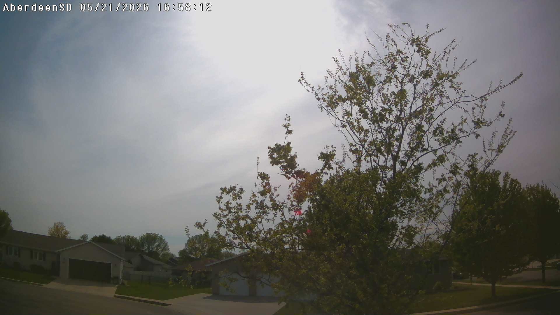 Web Cam History Image - 323