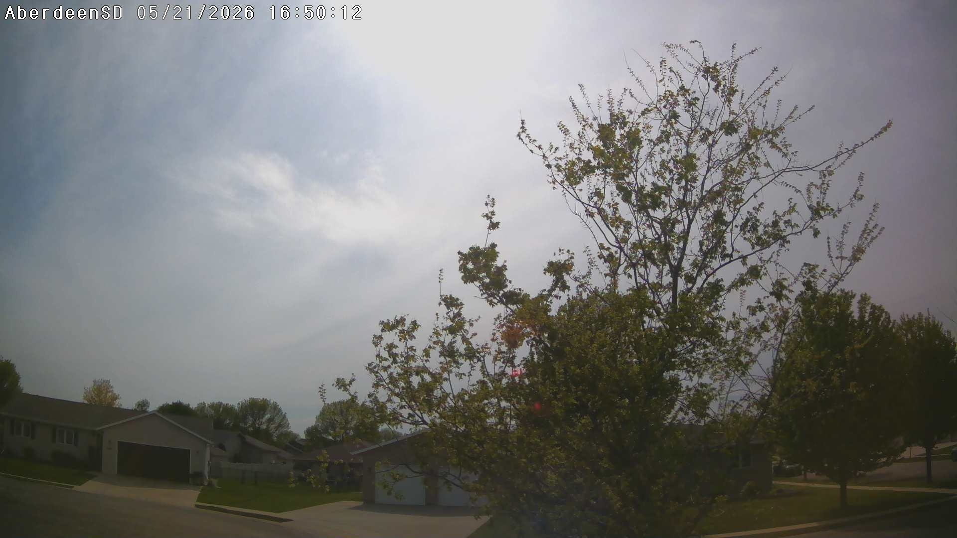 Web Cam History Image - 324
