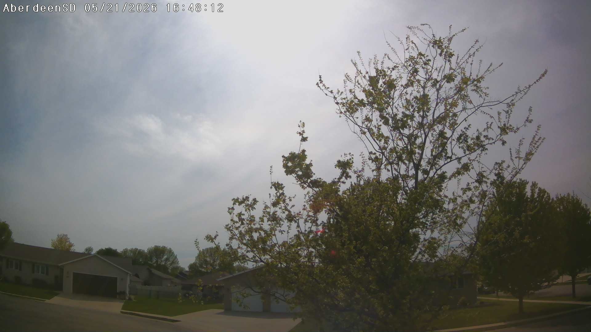 Web Cam History Image - 325