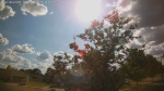Web Cam Image - Mon, 06/30/2025 12:55pm CDT