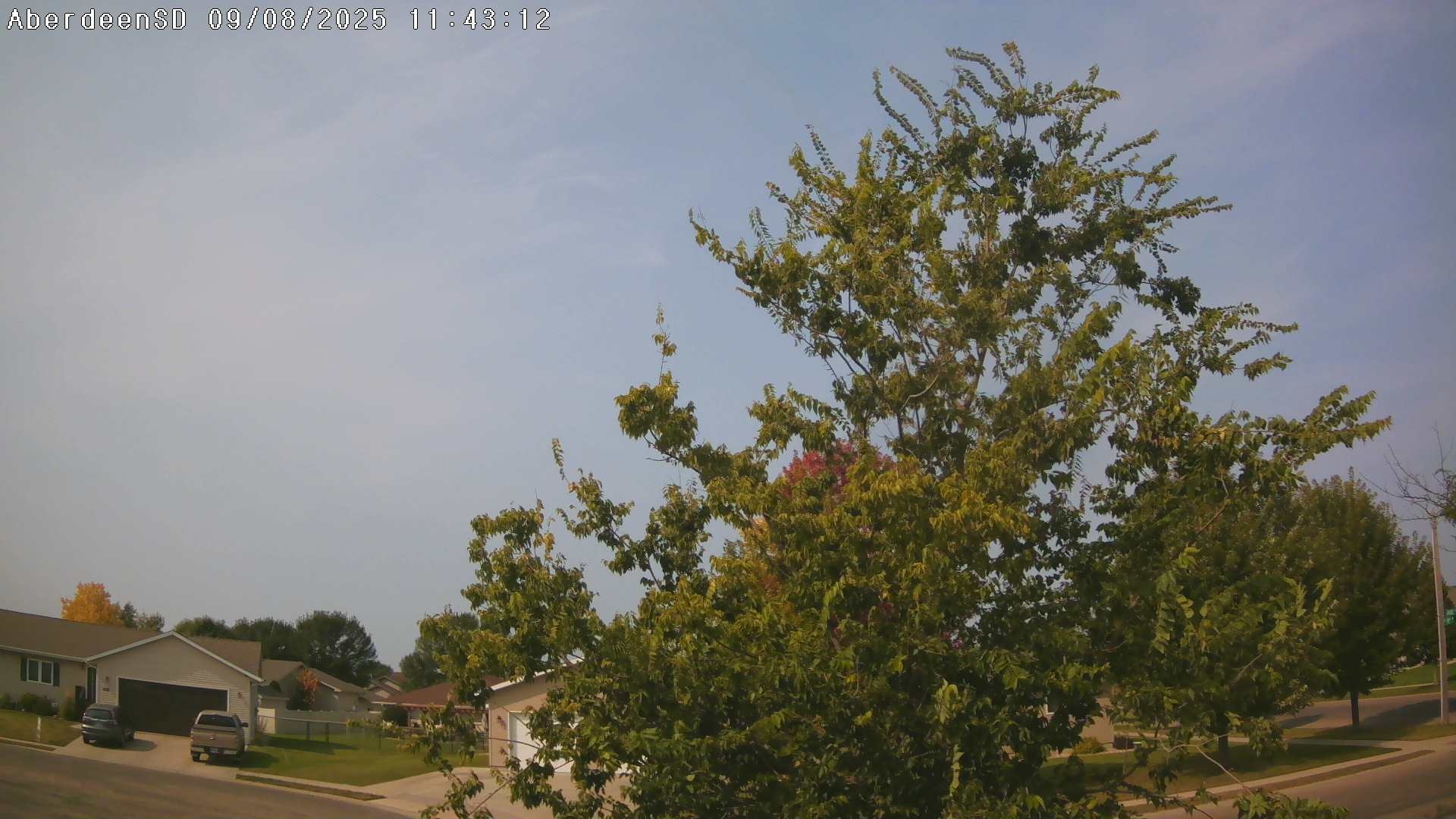 Web Cam History Image - 330