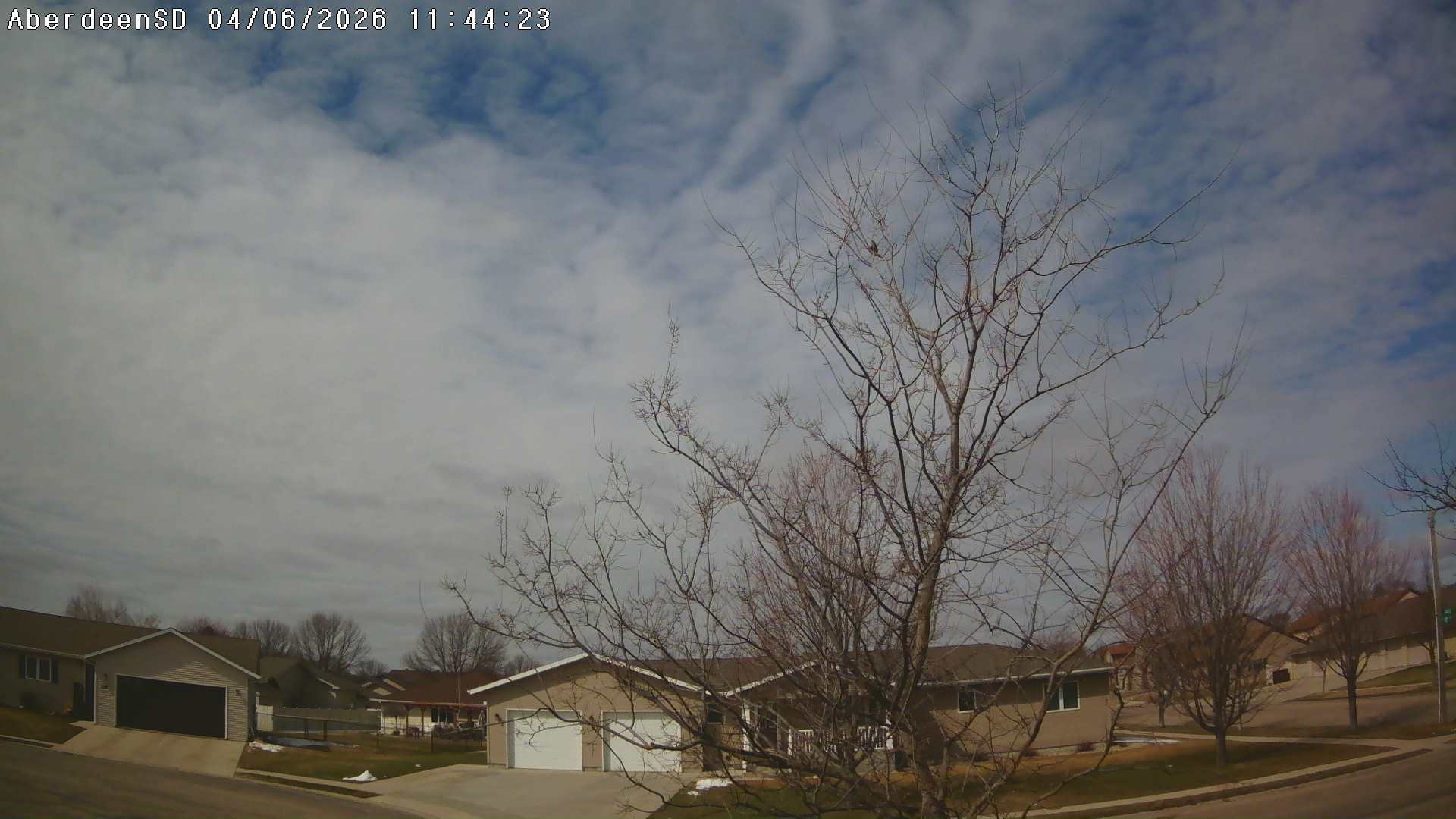 Web Cam History Image - 330