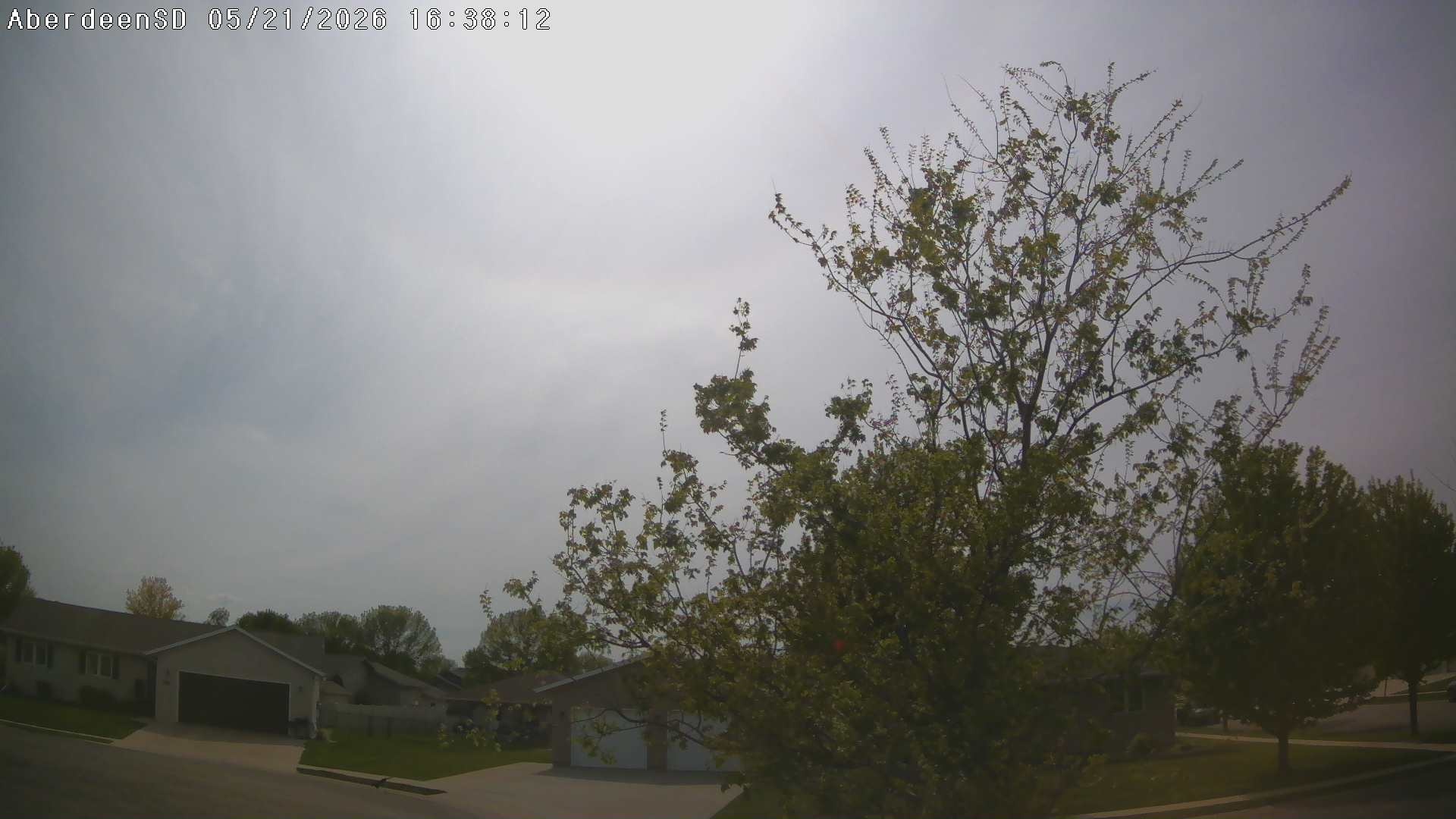 Web Cam History Image - 330